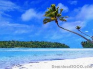 Tropical Beach Living Desktop screenshot